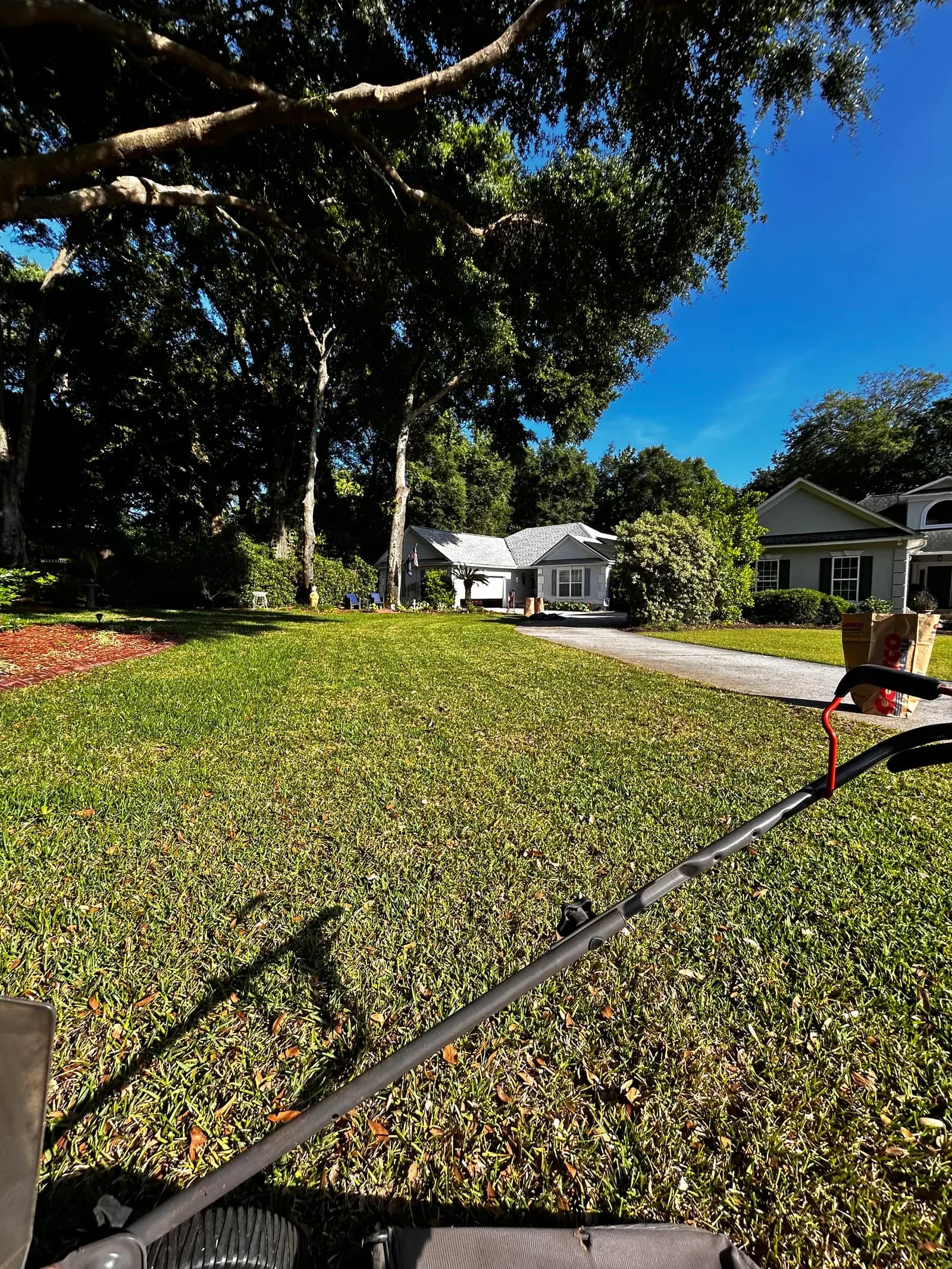 Trimmed lawn after a practical yard cleanup