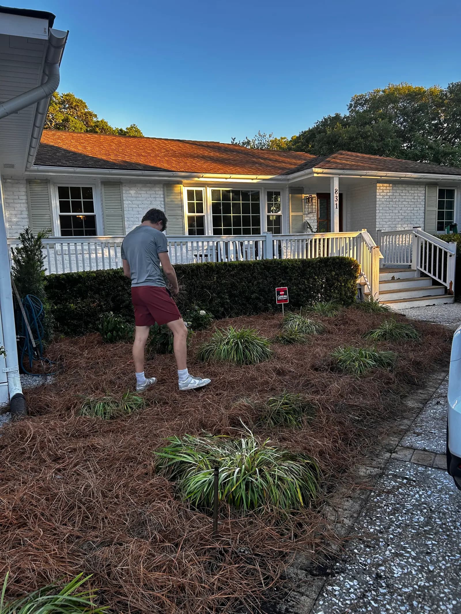 Crew member spreading pine straw during a yard refresh