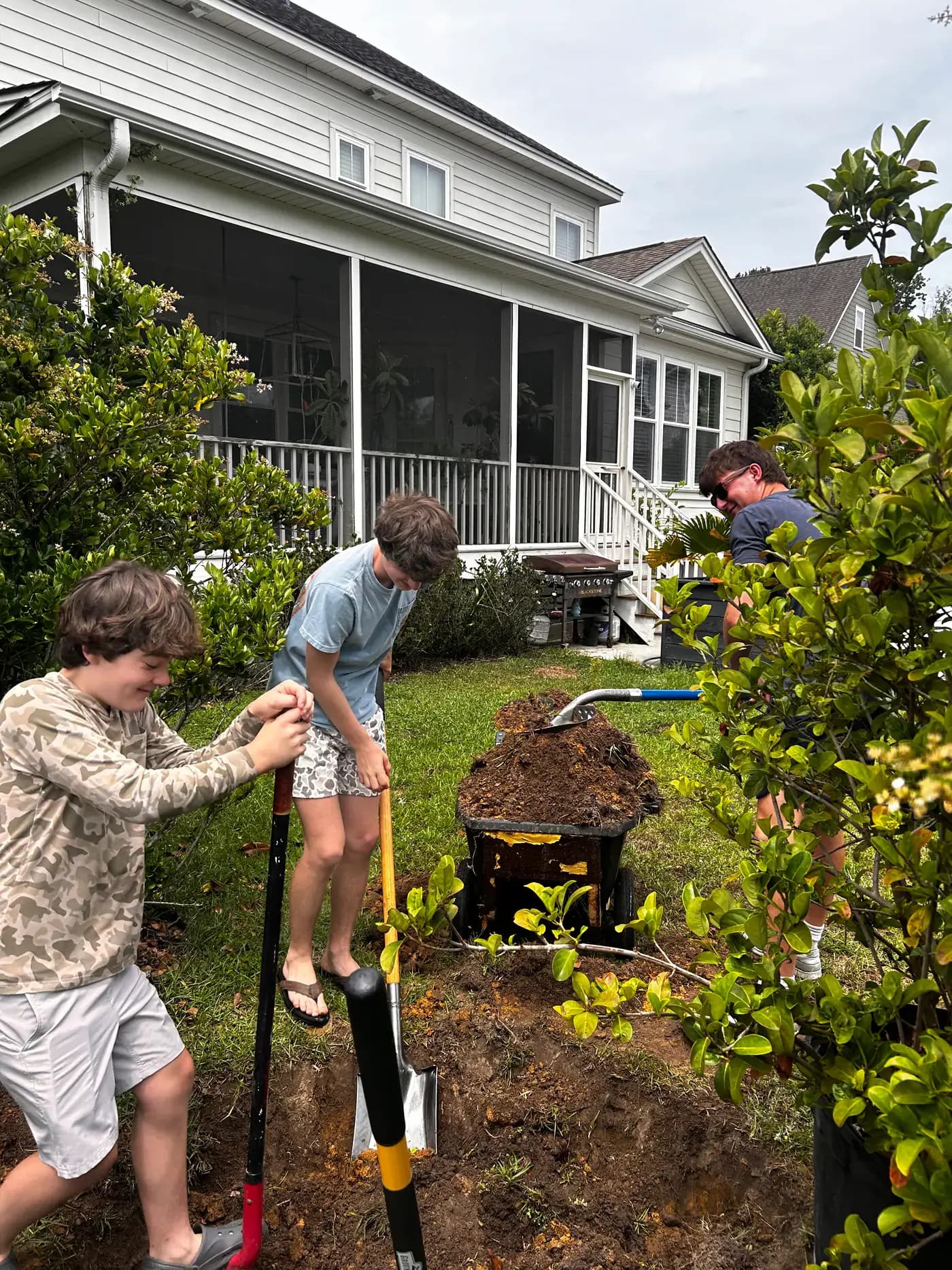 Palmetto crew installing plants in a Mount Pleasant landscape bed
