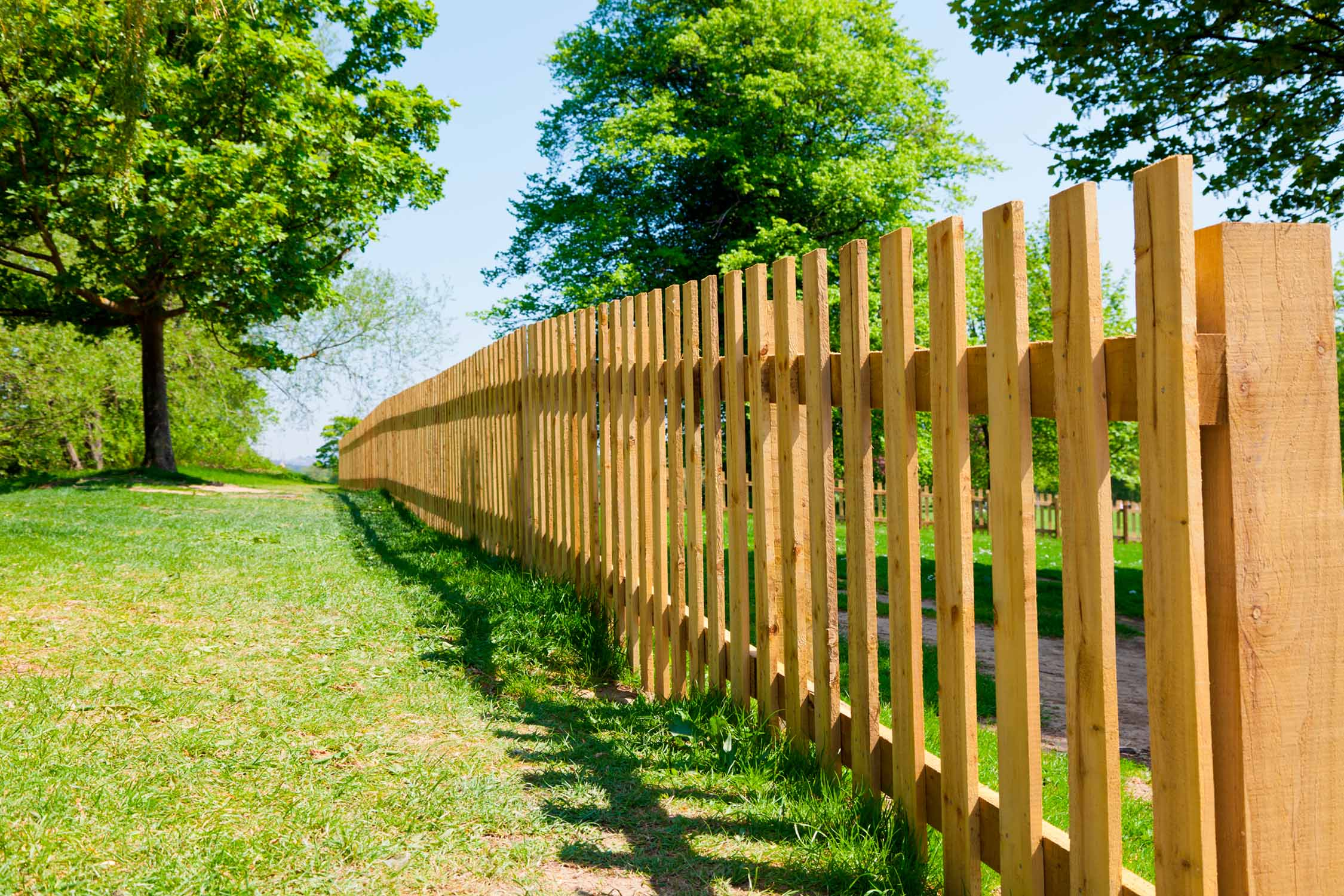 Fence Building